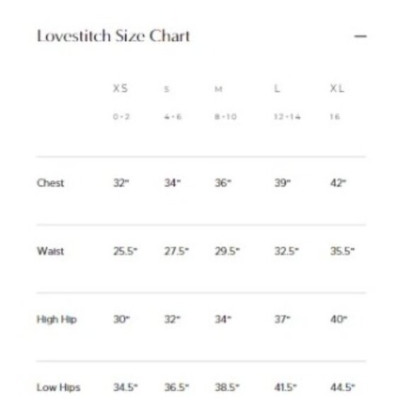 Lovestitch Embroidered Dusty Lilac Grey Chiffon Blouse sz L, NWT - Picture 4 of 5